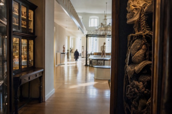Medical Museion