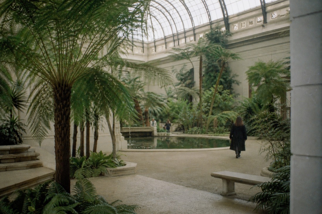 Palm-filled domed winter garden at the centre of the Ny Carlsberg Glyptotek in Copenhagen